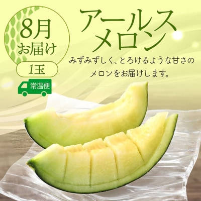 【R8.8月より順次発送】アールスメロン 大玉1玉(入金期限:2026.7.20)