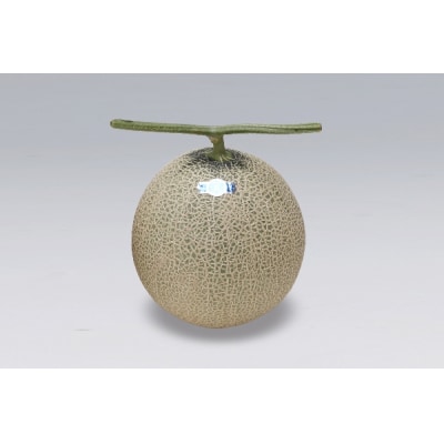 【8月より順次発送】アールスメロン 大玉1玉(入金期限:2025.7.31)