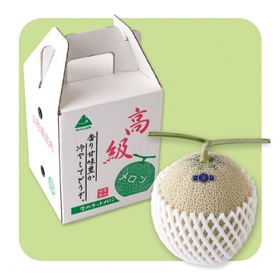 【R8.8月より順次発送】アールスメロン 大玉1玉(入金期限:2026.7.20)