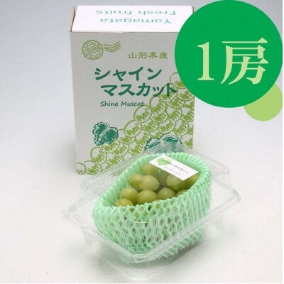 【R8.9月中旬より順次発送】庄内町産 シャインマスカット 1房(入金期限:2026.8.31)