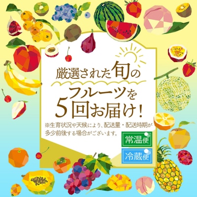 【R8.6月下旬より発送開始】食の都庄内 厳選フルーツ便A(入金期限:2026.5.31)