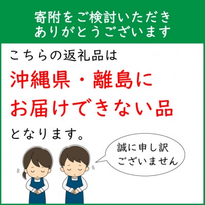 【R8.3月より発送開始】食の都庄内 厳選フルーツ便B(入金期限:2026.2.28)