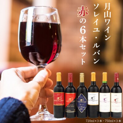 食の都庄内 月山ワイン ソレイユ・ルバン 6本セット 750ml 720ml 赤ワイン 辛口 ワイン