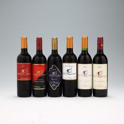 食の都庄内 月山ワイン ソレイユ・ルバン 6本セット 750ml 720ml 赤ワイン 辛口 ワイン