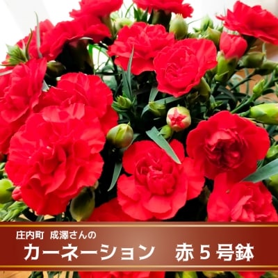 y5{菇zṼJ[l[V (:2026.4.30)