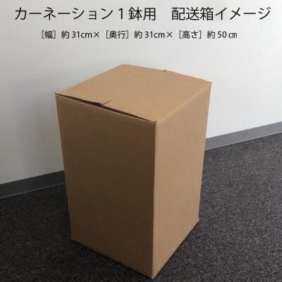 【5月初旬より順次発送】成澤さんのカーネーション 赤(入金期限:2026.4.30) 母の日