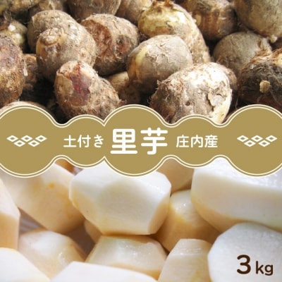 庄内産土付き里芋　3kg(2023年11月中旬から受付順に発送開始。　入金期限:2023.12.10