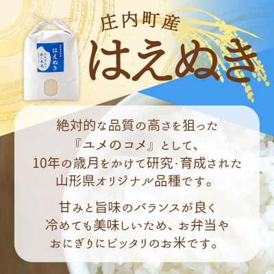 【新米受付】渡會さんのうまい米!はえぬき10kg【10月より順次発送】