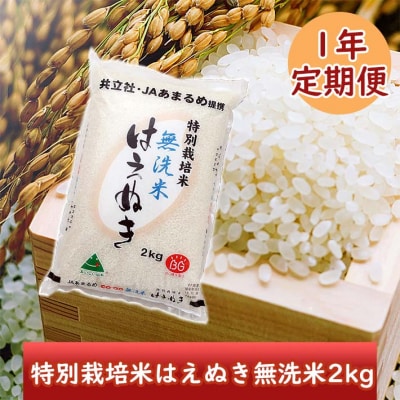 ＜2月開始＞庄内米1年定期便! 特別栽培米はえぬき無洗米2kg(入金期限:2025.1.25)