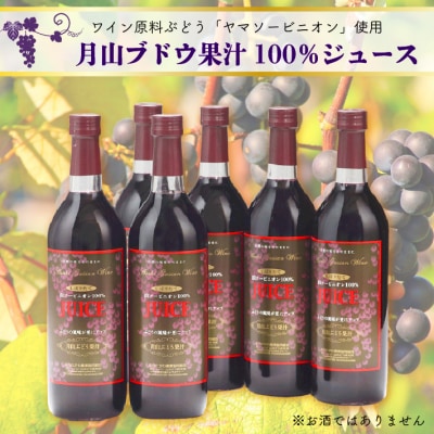 食の都庄内 月山ぶどう果汁100%ジュース 6本セット