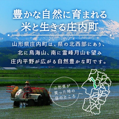 吉祥ファーム 庄内町産 無洗米 庄内米9銘柄ギフト 300g×9種 2.7kg