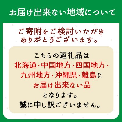 山形県庄内産ゆきちから100%　全粒粉食パン　2本