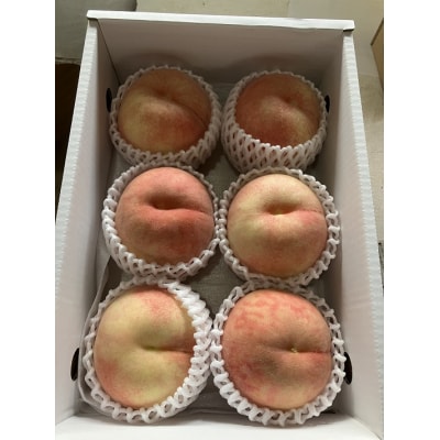 【R8.9月より発送開始】食の都庄内 桃  5～9玉 (入金期限:2026.8.20) 