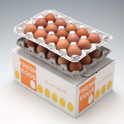 スズキのたまご 地養卵 MS～L 30個 新鮮 卵 たまご 鶏卵 生卵 地養卵 赤たまご