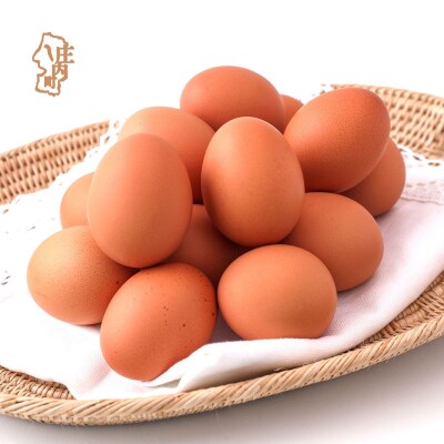 スズキのたまご 地養卵 MS～L 50個 新鮮 卵 たまご 鶏卵 生卵 地養卵 赤たまご