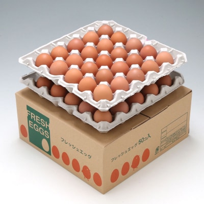 スズキのたまご 地養卵 MS～L 50個 新鮮 卵 たまご 鶏卵 生卵 地養卵 赤たまご