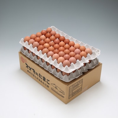 スズキのたまご　地養卵　MS～L　約5kg(80～90個)