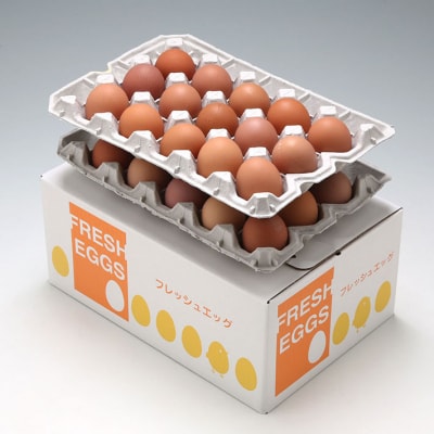 ＜2月中旬発送＞スズキのたまご 6か月定期便! 地養卵30個(入金期限:2026.1.25)