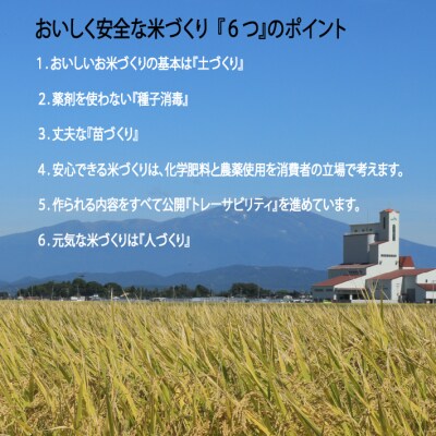 JAあまるめ 山形県庄内町産 特別栽培米つや姫 10kg 5kg×2袋 令和7年産 2025年産