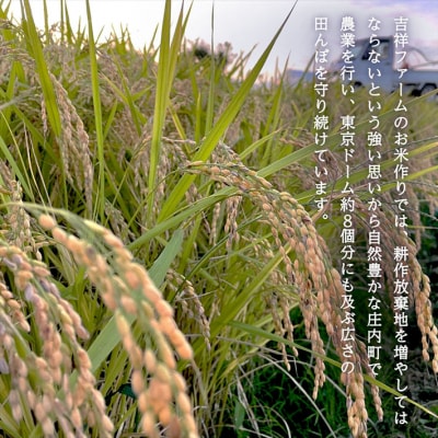 吉祥ファーム つや姫 5kg 令和6年産 2024年産 ブランド米 山形県 庄内町産