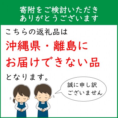 【5月初旬より発送】成澤さんのカーネーション オレンジジェラート(入金期限:2025.4.30)