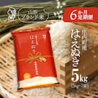 <11月中旬発送>庄内米6か月定期便!はえぬき 5kg(入金期限:2025.10.25)
