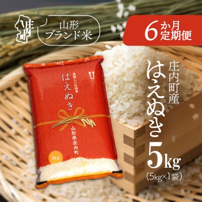 【6か月定期便】庄内米 はえぬき 5kg【7月中旬発送】
