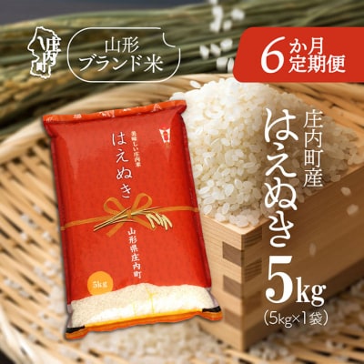 ＜4月中旬発送＞庄内米6か月定期便!はえぬき 5kg(入金期限:2026.3.25)