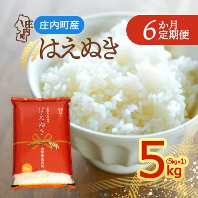 【定期便】<令和8年産>はえぬき 5kg×1袋×6ヶ月 毎月 5kg【10月中旬発送】