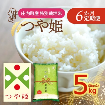 【定期便】【令和8年産】つや姫 5kg×1袋×6ヶ月 毎月 5kg 精米【10月下旬発送】