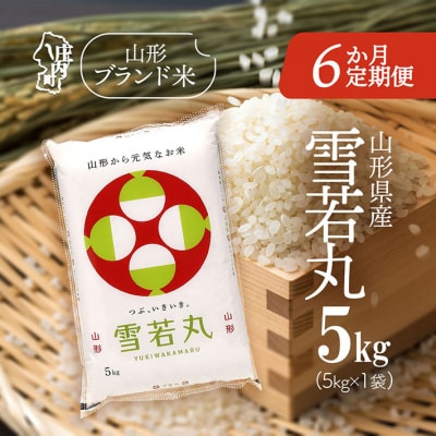 【6か月定期便】山形米 雪若丸 5kg【6月中旬発送】