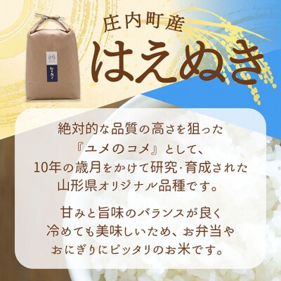 吉祥ファーム はえぬき 5kg 令和7年産 2025年産 ブランド米