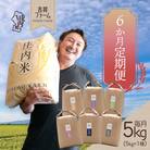 <12月中旬発送>吉祥ファーム 庄内町産おいしい米6か月定期便!(入金期限:2025.11.25)