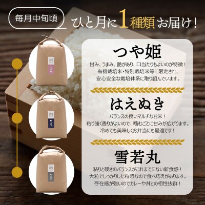 【定期便】<令和8年産> 庄内町産 ブランド米 食べ比べ 5kg×6ヶ月【10月中旬発送】