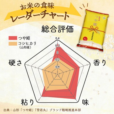 【6か月定期便】庄内米 つや姫 無洗米 5kg<5月下旬発送>ブランド米 米 お米の定期便