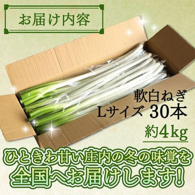 【11月より順次発送】庄内町産工藤さんの軟白ねぎ Lサイズ 約4kg(入金期限:2026.2.20)