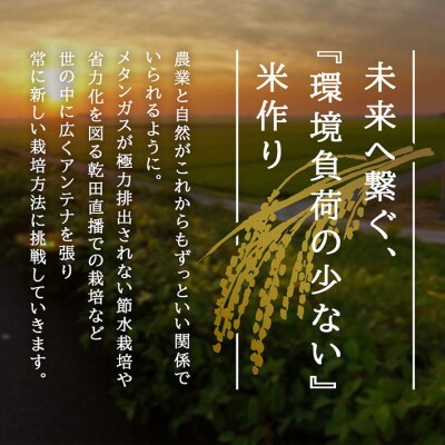 U米MON 庄内町産 つや姫 5kg 令和7年産 2025年産 ブランド米