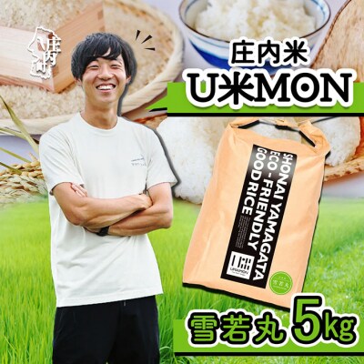 U米MON 庄内町産 雪若丸 5kg 令和7年産 2025年産 ブランド米