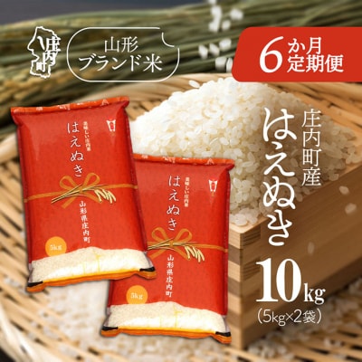 【6か月定期便】庄内米 はえぬき 10kg【8月中旬発送】