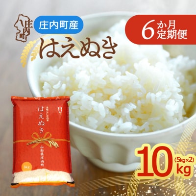 【定期便】<令和8年産>はえぬき 5kg×2袋×6ヶ月 毎月 10kg【10月中旬発送】