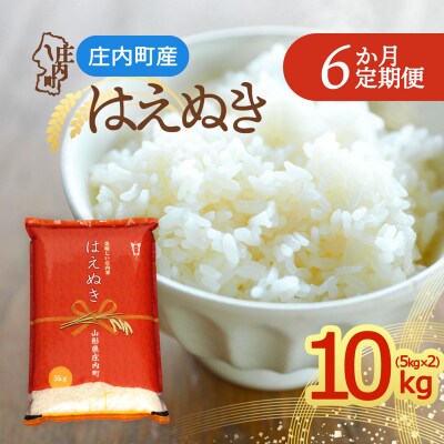 【定期便】<令和8年産>はえぬき 5kg×2袋×6ヶ月 毎月 10kg【12月中旬発送】