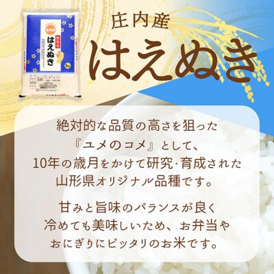 【定期便】<令和8年産>はえぬき 無洗米 2kg×3袋×6ヶ月 毎月 6kg【10月中旬発送】