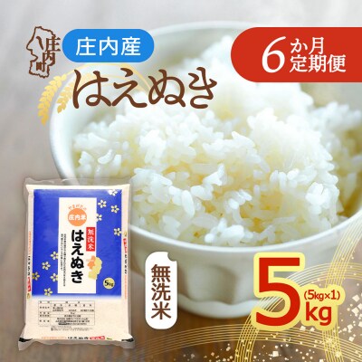 【定期便】<令和8年産>はえぬき 無洗米 5kg×1袋×6ヶ月 毎月 5kg【10月中旬発送】