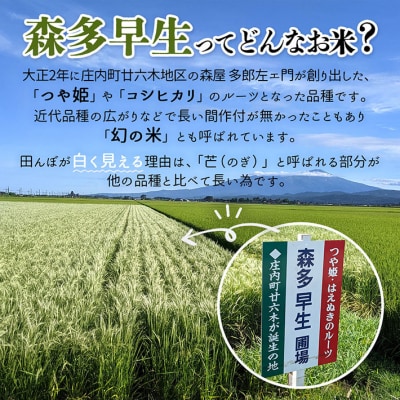JAあまるめ 幻の米 庄内町産 森多早生100%使用 ストレートあまざけ 720ml×2本