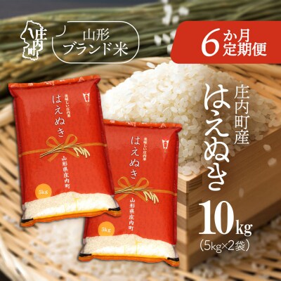 【6か月定期便】庄内米 はえぬき 10kg【7月中旬発送】