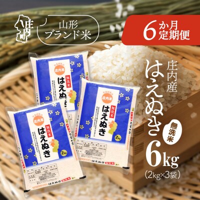 【6か月定期便】庄内米 はえぬき無洗米 6kg【7月中旬発送】
