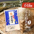 <11月中旬発送>庄内米6か月定期便!はえぬき無洗米 5kg(入金期限:2025.10.25)