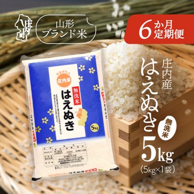 <11月中旬発送>庄内米6か月定期便!はえぬき無洗米 5kg(入金期限:2025.10.25)