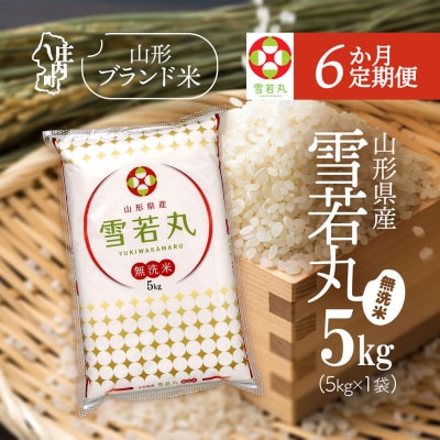 【6か月定期便】庄内米 雪若丸 無洗米 5kg<5月中旬発送>ブランド米 米 お米の定期便