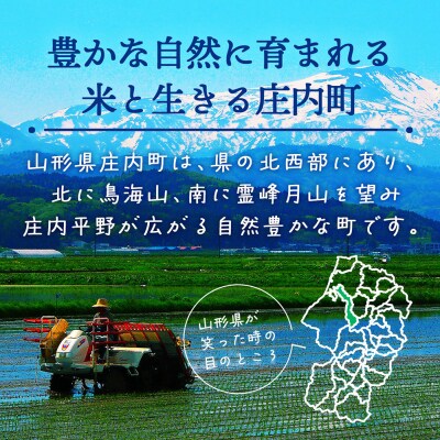 【新米受付】R8年産 雪若丸 15kg【10月より順次発送】